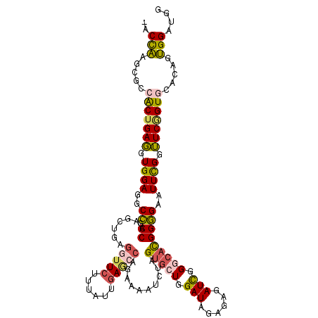 secondary structure