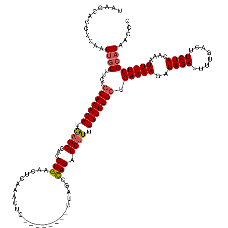 secondary structure