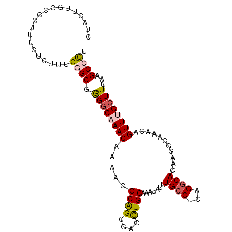 secondary structure