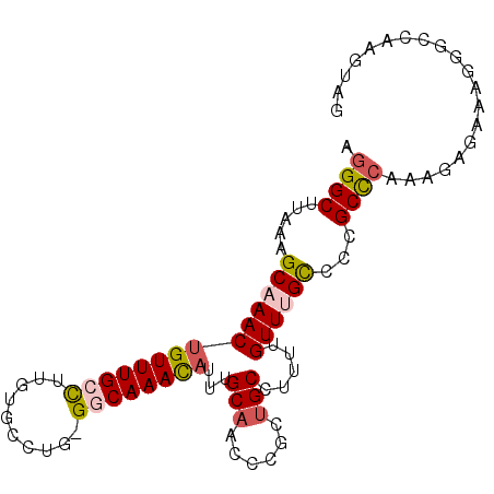 secondary structure