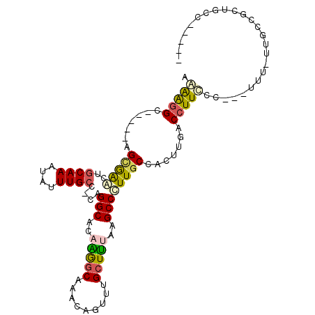 secondary structure