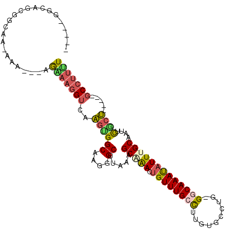 secondary structure