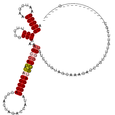 secondary structure