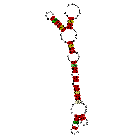 secondary structure