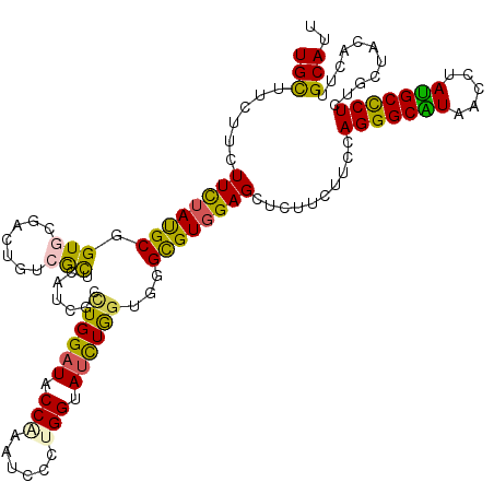 secondary structure