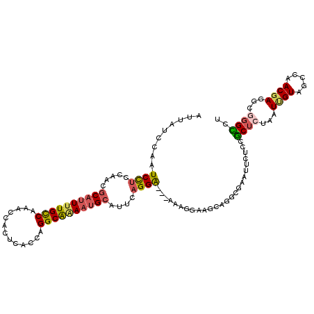 secondary structure