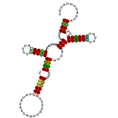 secondary structure