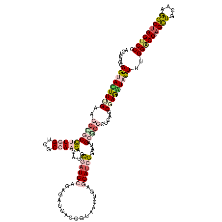secondary structure