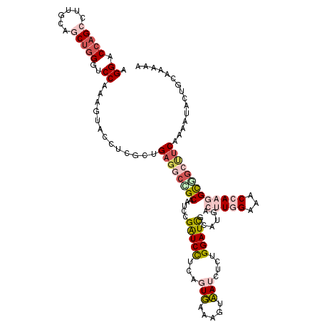 secondary structure