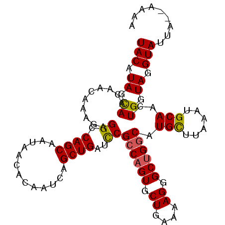 secondary structure