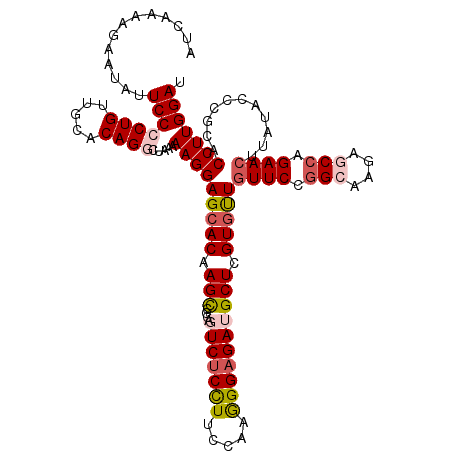 secondary structure