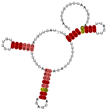secondary structure