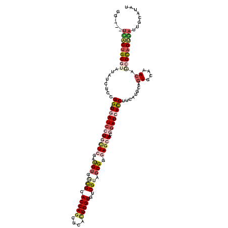 secondary structure