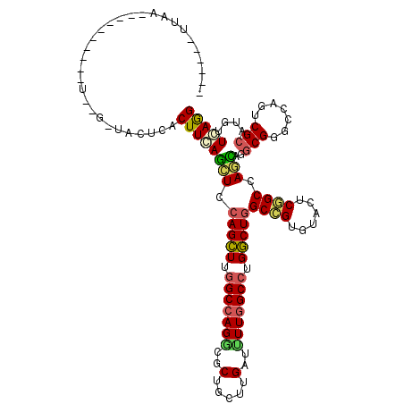 secondary structure