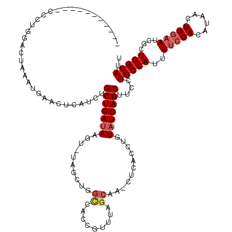 secondary structure