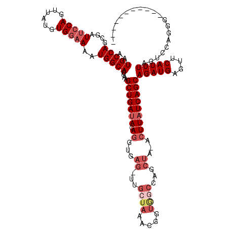 secondary structure