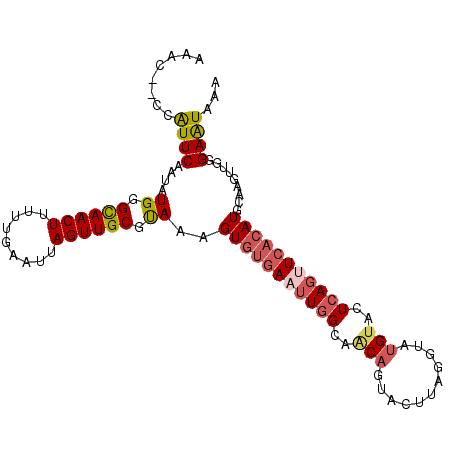 secondary structure