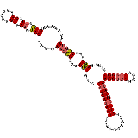 secondary structure