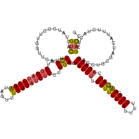 secondary structure
