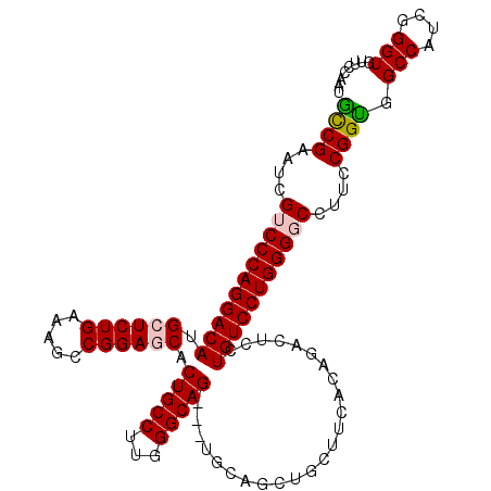 secondary structure