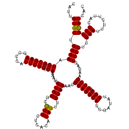 secondary structure