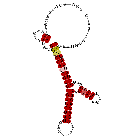 secondary structure