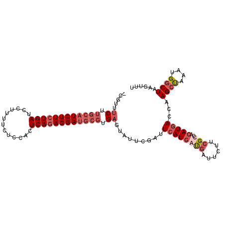 secondary structure
