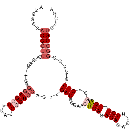 secondary structure
