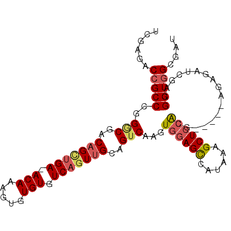 secondary structure