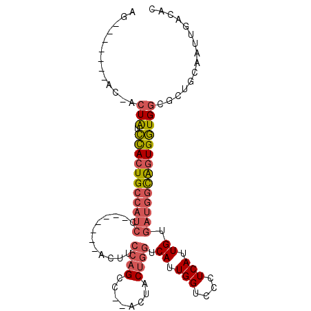 secondary structure