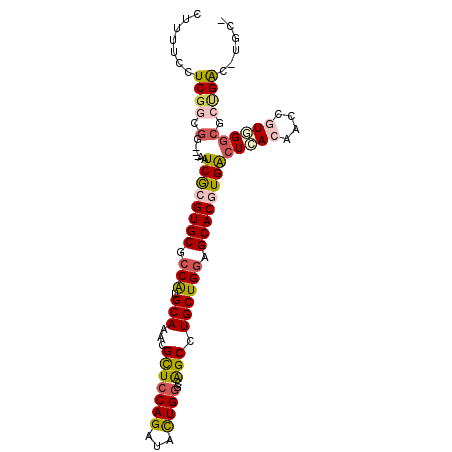 secondary structure