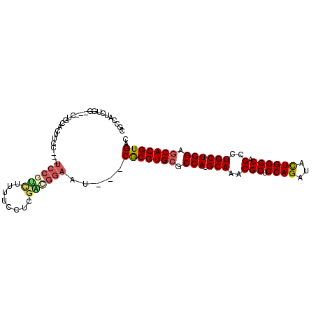 secondary structure