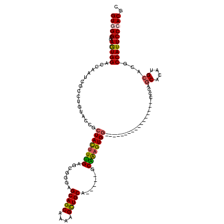 secondary structure
