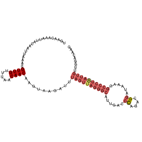 secondary structure