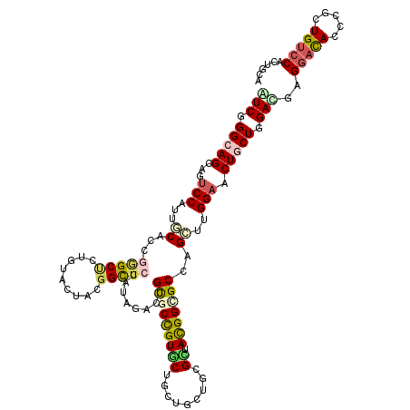 secondary structure