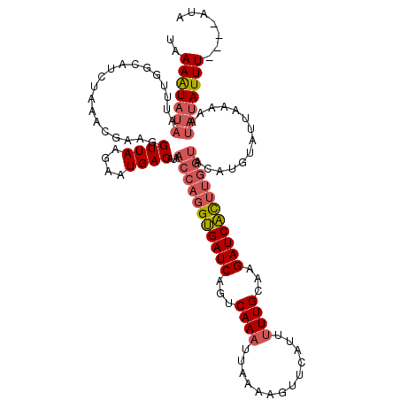 secondary structure