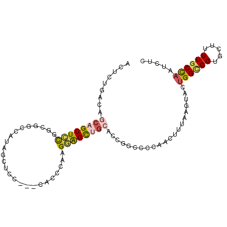 secondary structure
