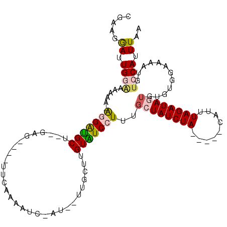 secondary structure