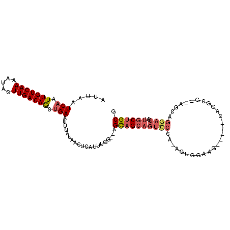secondary structure