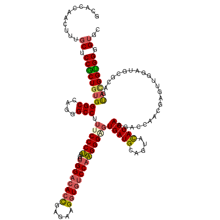 secondary structure