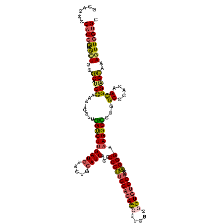 secondary structure