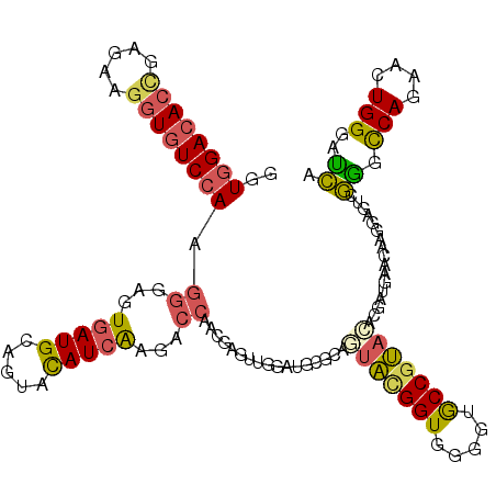 secondary structure