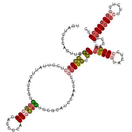 secondary structure