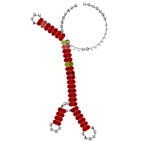 secondary structure