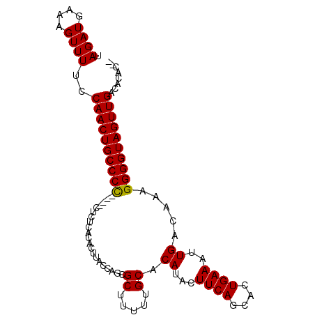 secondary structure