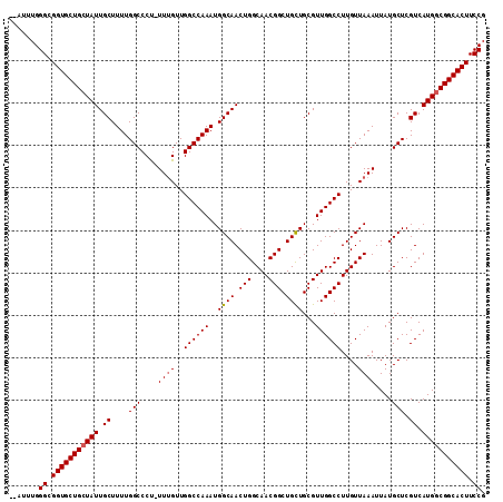 dotplot