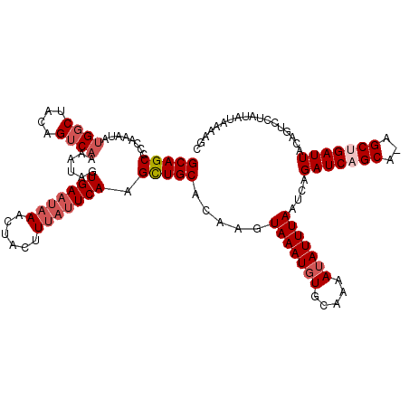 secondary structure
