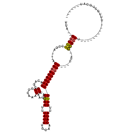 secondary structure