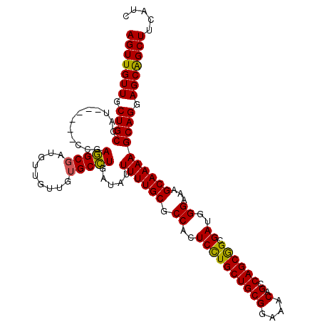 secondary structure