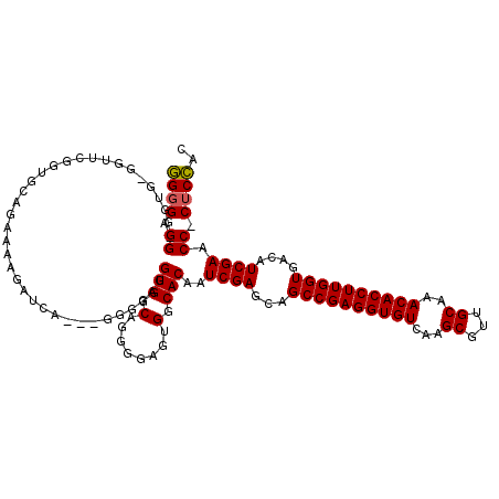 secondary structure